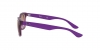 RJ9052SF Junior New Wayfarer Sunglasses