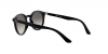 RJ9064S Sunglasses