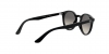 RJ9064S Sunglasses