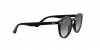 RJ9064S Sunglasses