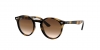 RJ9064S Sunglasses