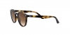 RJ9064S Sunglasses
