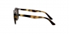 RJ9064S Sunglasses