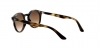 RJ9064S Sunglasses