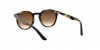 RJ9064S Sunglasses