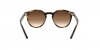 RJ9064S Sunglasses
