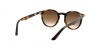 RJ9064S Sunglasses