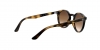 RJ9064S Sunglasses