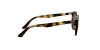 RJ9064S Sunglasses