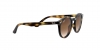 RJ9064S Sunglasses
