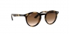 RJ9064S Sunglasses