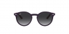 RJ9064S Sunglasses