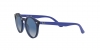 RJ9064S Sunglasses
