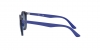 RJ9064S Sunglasses