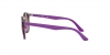 RJ9064S Sunglasses
