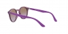 RJ9064S Sunglasses