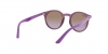 RJ9064S Sunglasses