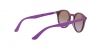 RJ9064S Sunglasses