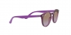 RJ9064S Sunglasses