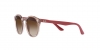 RJ9064S Sunglasses