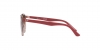 RJ9064S Sunglasses