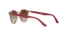 RJ9064S Sunglasses