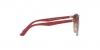 RJ9064S Sunglasses