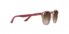 RJ9064S Sunglasses