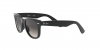 RJ9066S Junior Wayfarer Sunglasses