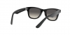RJ9066S Junior Wayfarer Sunglasses