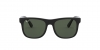 RJ9069S Junior Justin Sunglasses