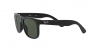 RJ9069S Junior Justin Sunglasses