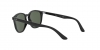 RJ9070S Sunglasses
