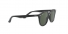 RJ9070S Sunglasses