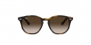 RJ9070S Sunglasses