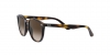 RJ9070S Sunglasses