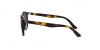 RJ9070S Sunglasses