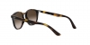 RJ9070S Sunglasses