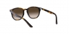 RJ9070S Sunglasses