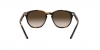 RJ9070S Sunglasses