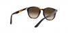RJ9070S Sunglasses