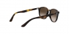 RJ9070S Sunglasses
