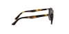 RJ9070S Sunglasses