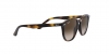 RJ9070S Sunglasses
