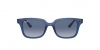 RJ9071S Sunglasses