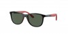 RJ9077SF Sunglasses
