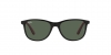 RJ9077S Sunglasses