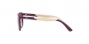 RJ9077S Sunglasses