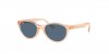 RJ9080SF Sunglasses