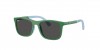 RJ9084SF Sunglasses